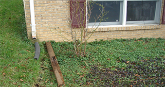 Photo of home with termite damage