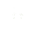 Termites