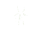 Fly