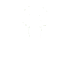 roach